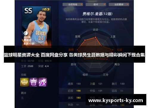 篮球明星资源大全 百度网盘分享 各类球员生涯数据与精彩瞬间下载合集