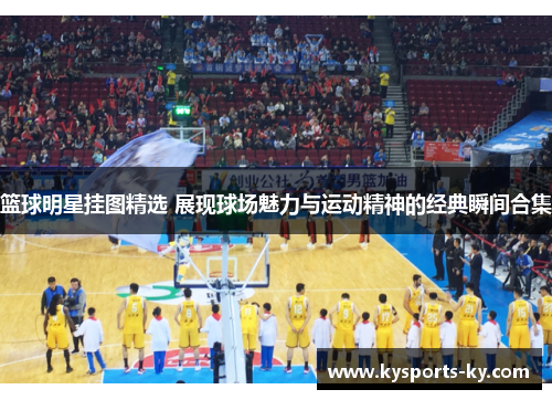 篮球明星挂图精选 展现球场魅力与运动精神的经典瞬间合集